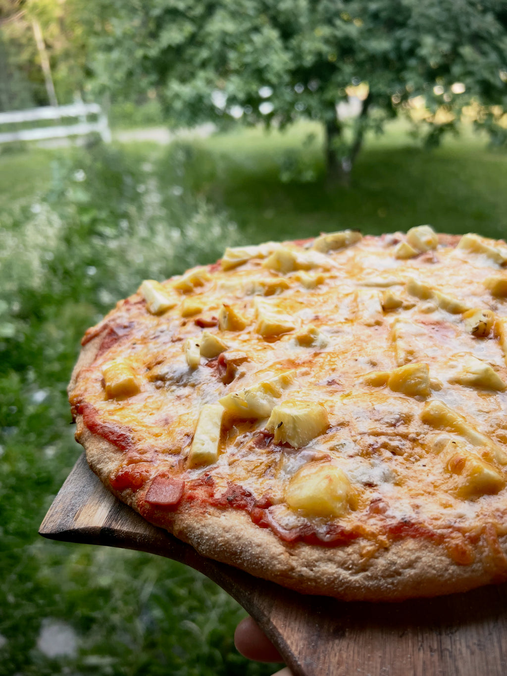 Fresh Milled Signature Pizza flour
