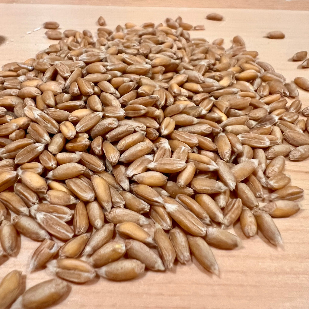 Fresh Milled Spelt Flour