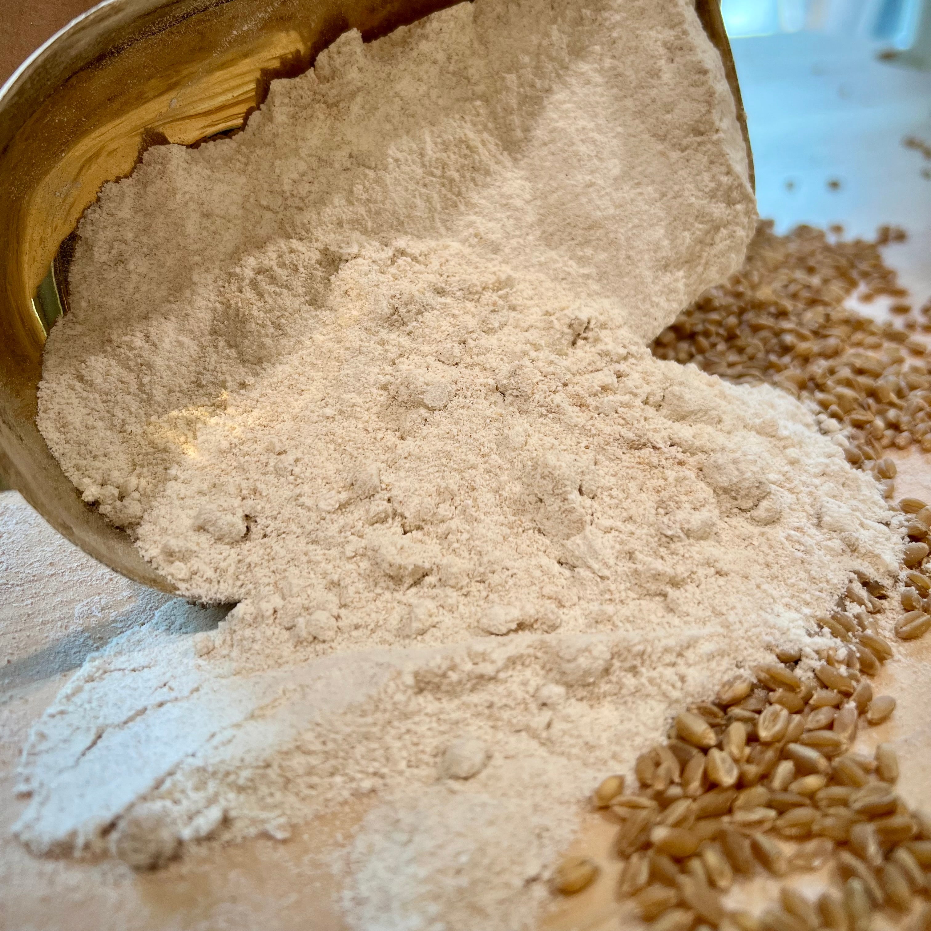 Fresh Milled Spelt Flour