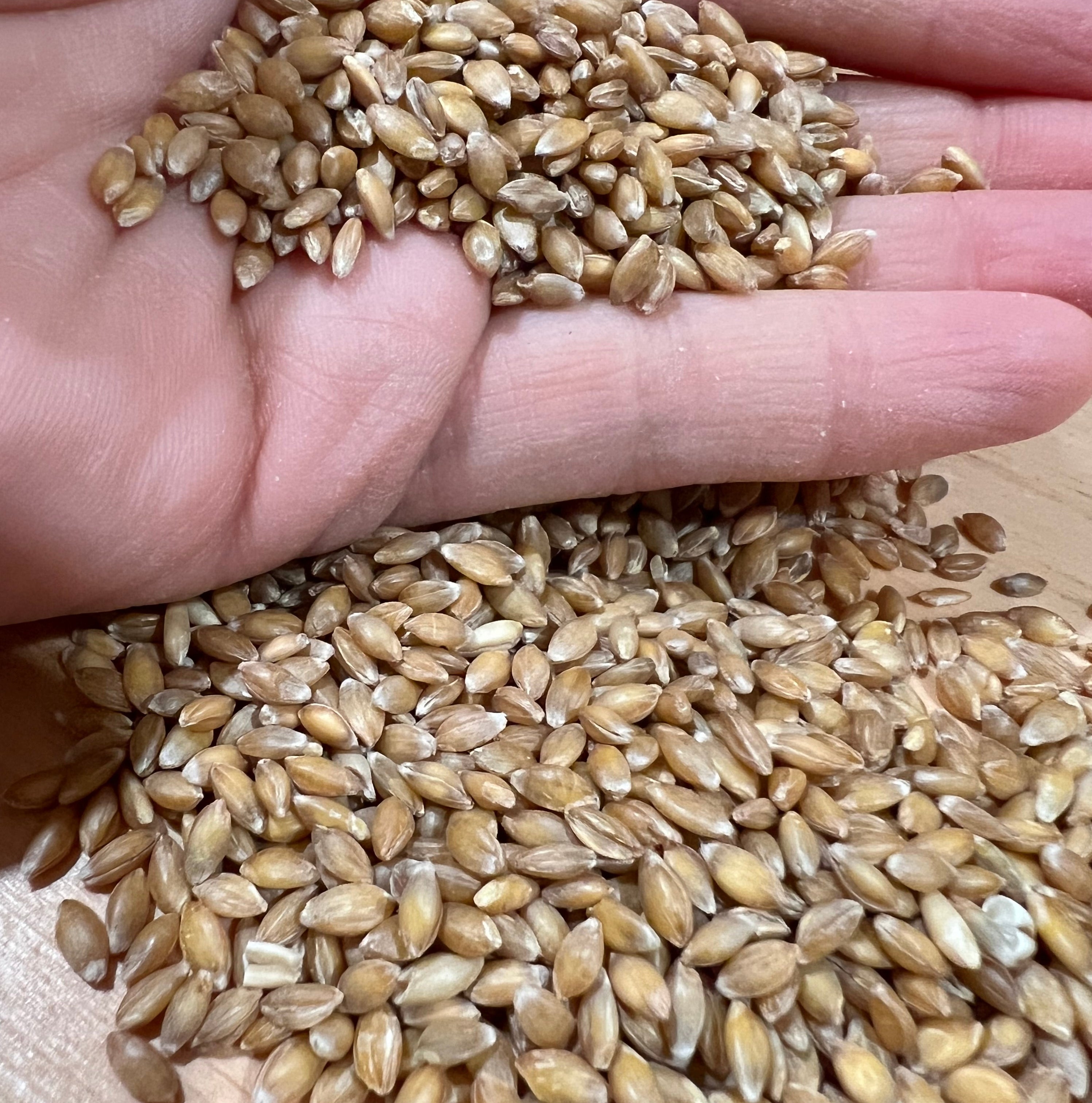 Fresh Milled Einkorn Flour