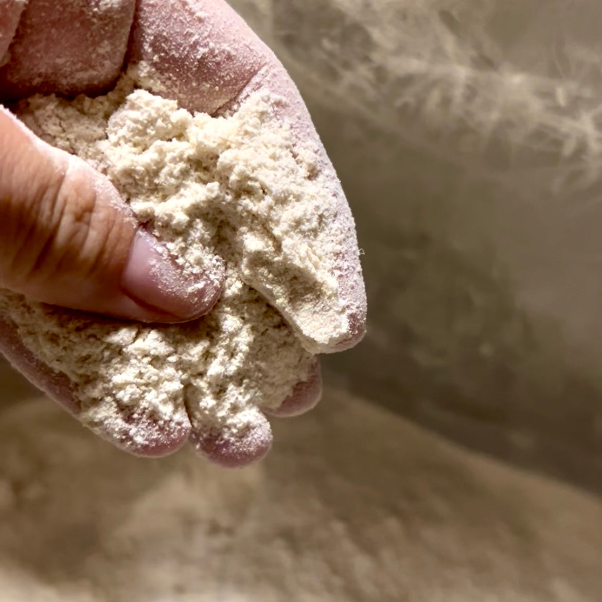 Fresh Milled Signature Pizza flour